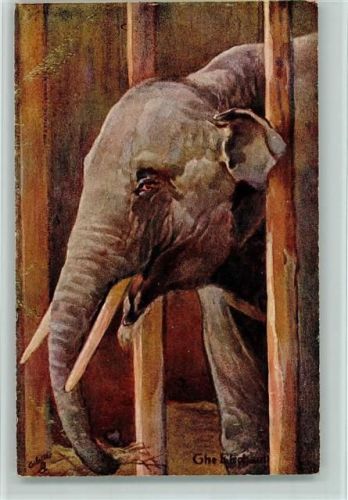 Tucks Serie Animal Studies Nr. 9054 - gute Erhaltung