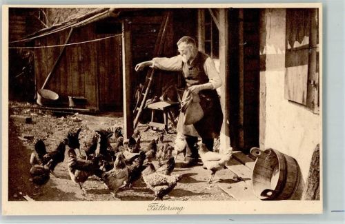 Idylle Nr. 71 - Fütterung der Hühner, Landwirtschaft AK