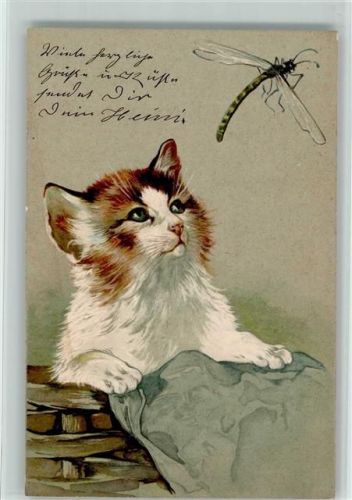 1904 Verlag PFB Serie 2235 Katze und eine Libelle AK