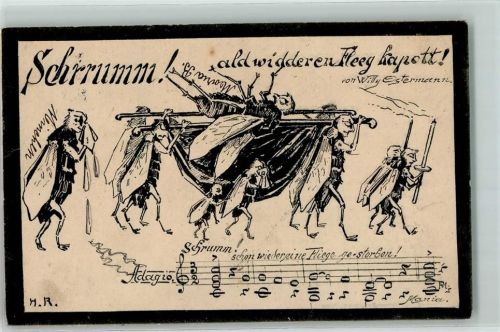 Köln Stadt 1915 Schrummm Ald widder en Fleeg kapott Fliegenbeerdigung Karneval Humor