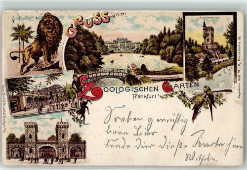 Frankfurt 1898 Gruss aus Aussichtsturm Bärenzwinger Affenhaus Kunstanstalt Rosenblatt