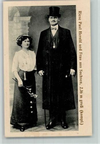 Riese Paul Herold 2,36 cm und Frau aus Sachsen ca 1918 AK