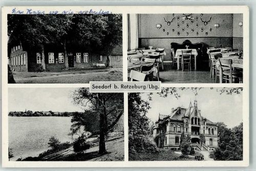Seedorf Gasthaus Gastraum Schaalsee
