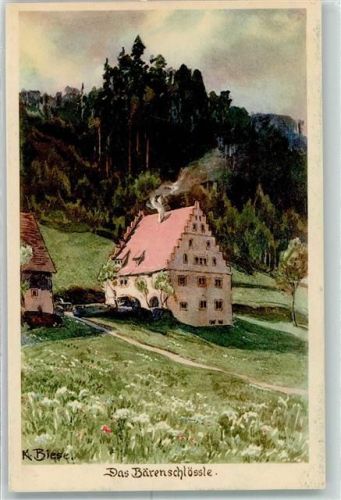 Freudenstadt Das Bärenschlössle AK