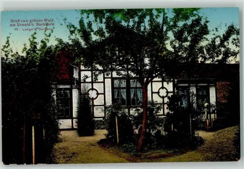 Bockhorn 1913 Grüner Wald am Urwald