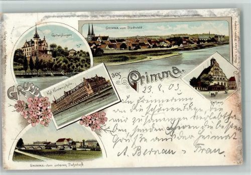 Grimma 1903 Gruss aus - Rathaus, Brücke, Grimma vom Stadtwald AK