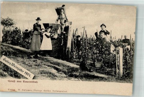 Rauenthal 1910 Weinlese August Winter