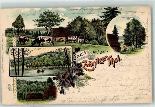 Zwönitz 1903 Gasthaus Jägerhaus Hasselbusch Gr. Teich Kühe Zwönitzer Tal