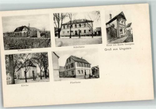 Ungstein Winzerverein Weinreben Schule Georgens-Haus Pfarrhaus
