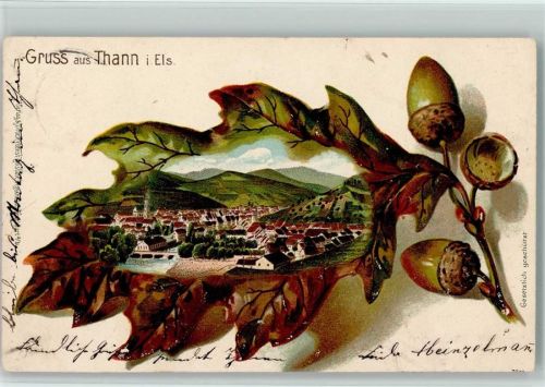 Thann 1902 Passepartout Eichenblatt