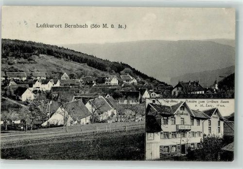 76332 W7506 Bernbach , Schwarzw 1910 - Gasthaus Pension Zum Grünen Baum M. Lutz Wwe