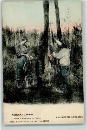 Morcenx l`Industrie Landaise