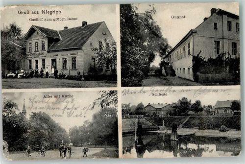 Niegripp 1909 Gutshof Gasthaus zum grünen Baum Baumallee Schleuse Fahrräder