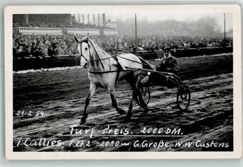 Turf Preis 1954