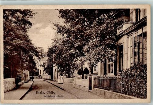 Brake Mitteldeichstraße Baumblüte