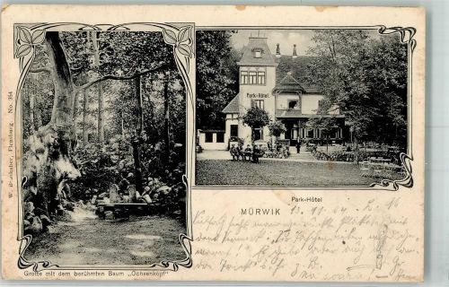 24937 W2390 Mürwik 1904 Foto AK Park-Hotel Grotte Baum " Ochsenkopf"