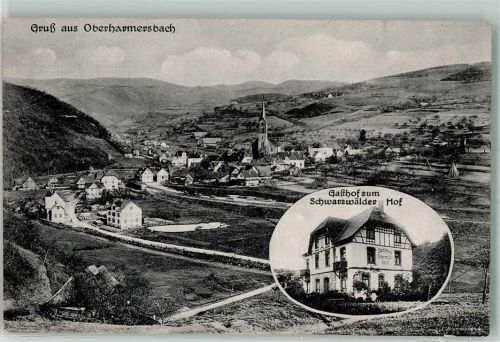 Oberharmersbach Gasthaus zum Schwarzwälder Hof