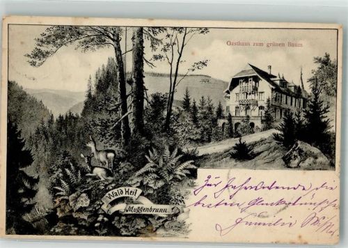 Muggenbrunn 1901 Gasthaus zum grünen Baum Rehe Farne