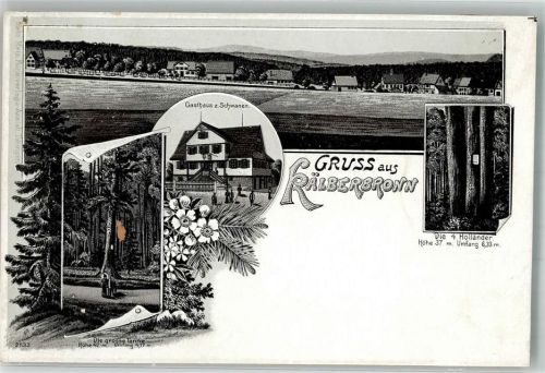 Kälberbronn Lithographie Gasthaus zum Schwanen Die grosse Tanne Die 4 Holländer