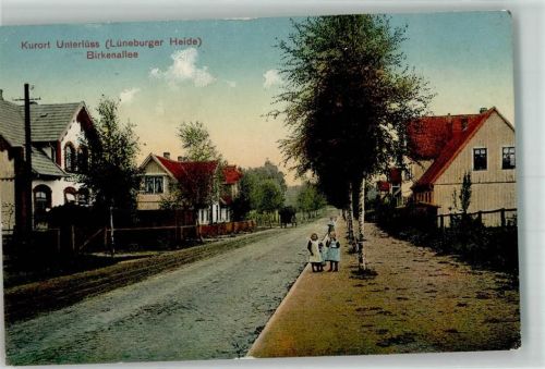 Unterlüß Lüneburger Heide Birkenallee