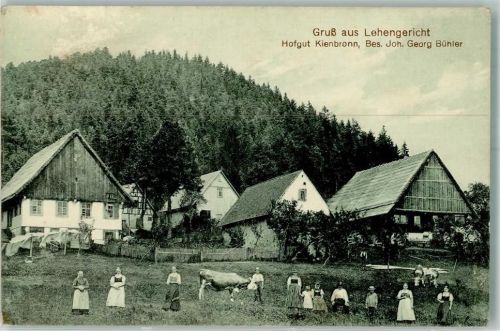 Lehengericht Hofgut Kienbronn Wiese Kühe