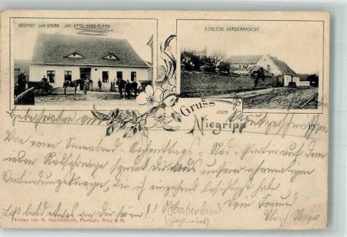 39288 O3271 Niegripp 1904 Gebrauchsspuren Gasthaus zum Stern Pferde Foto AK