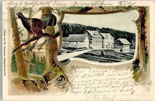 Ruhestein 1902 Ruhestein Auerhahn