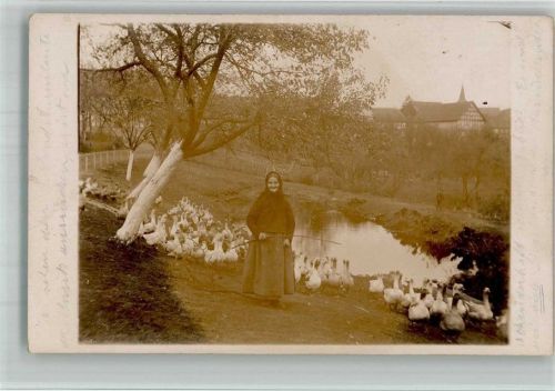 Armsheim 1914 Gänseliesel Gänse Dorftümpel Ort handschriftlich Privatfoto AK
