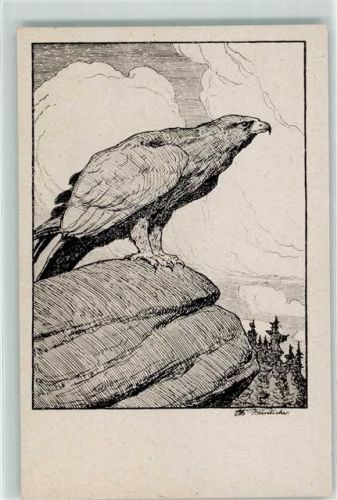 sign. Otto Fikentscher Steinadler Raubogel AK