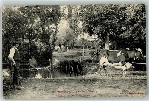 Douains 1910 Kuh