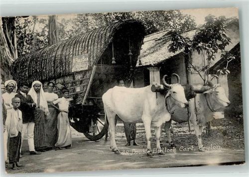 Double Bullock Cart Volkstypen
