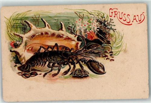 Gruss aus Meerestiere Hummer AK Muschel 1900 Lithographie