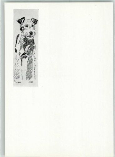 Foxterrier