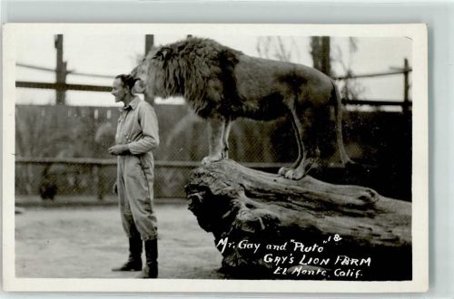 Gay`s Lion Farm , Californien El Monte