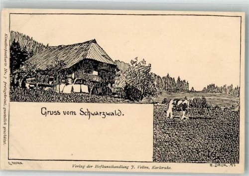 1897 Gruss vom Schwarzwald Bauernhaus Verlag Velten Nr. 7