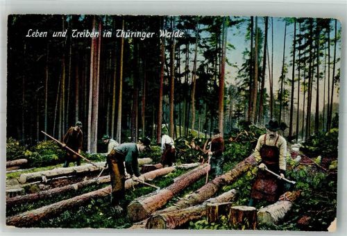 Holzfäller Tiergespann Verlag Gimm Nr. 1612 Leben und Treiben im Thüringer Wald Forstwirtschaft