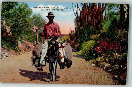 Willemstad Curacao Esel Tracht Country Road