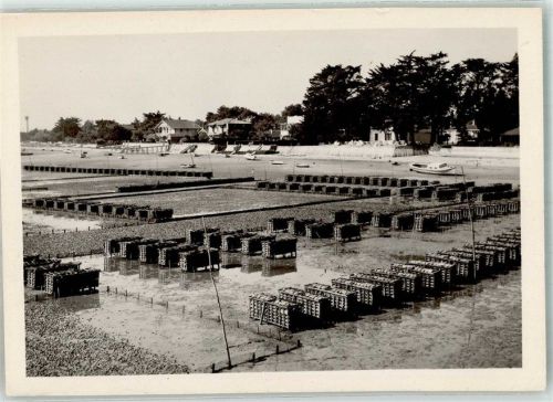 Claouey Austernbänke Cap Ferret