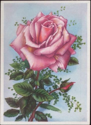 um 1930/40 Rose, rosa, Künstler Ak,sign. AT