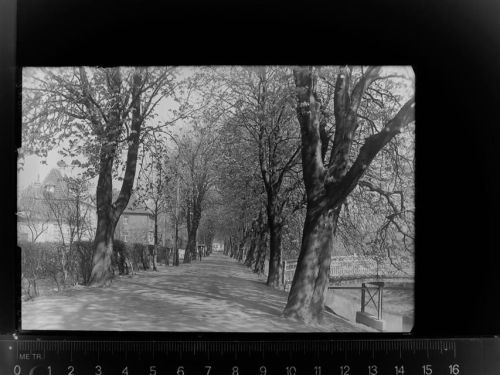 Lüdinghausen Hinter Hagen