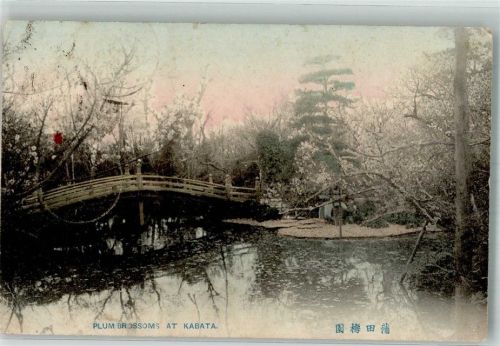 Tokyo 1909 Plum Brossoms at Kabata