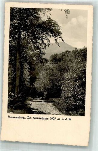 Schneekoppe Riesengebirge