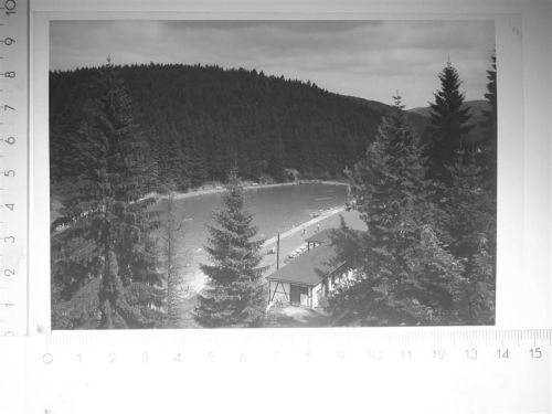 Brilon-Wald