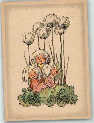 Wollgras Blumenlegende Kunstkartenserie 13-24 Verlag Gerhard Tacke