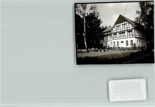 Mellendorf Birke vorm Fachwerkhaus