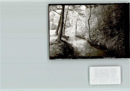 Hövelhof Wald