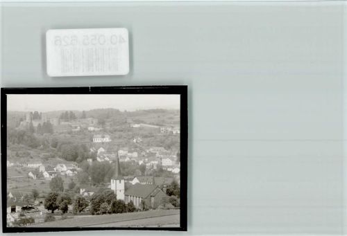 Schönecken Ortsansicht