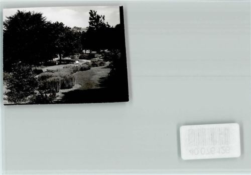 Bad Hermannsborn Park