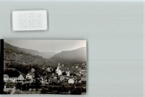 Dausenau Ortsansicht