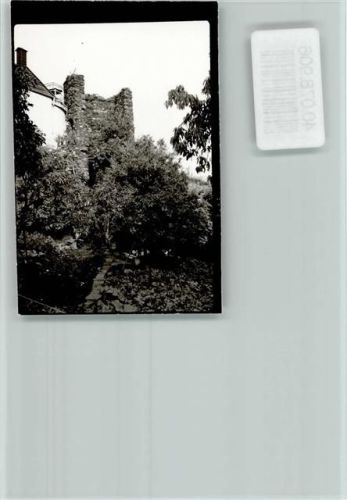 Ediger Burg